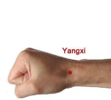 Yang Xi point