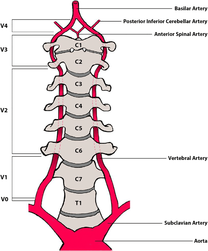 Cervical Spondylosis and Wrist Pain