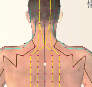 chronic neck pain